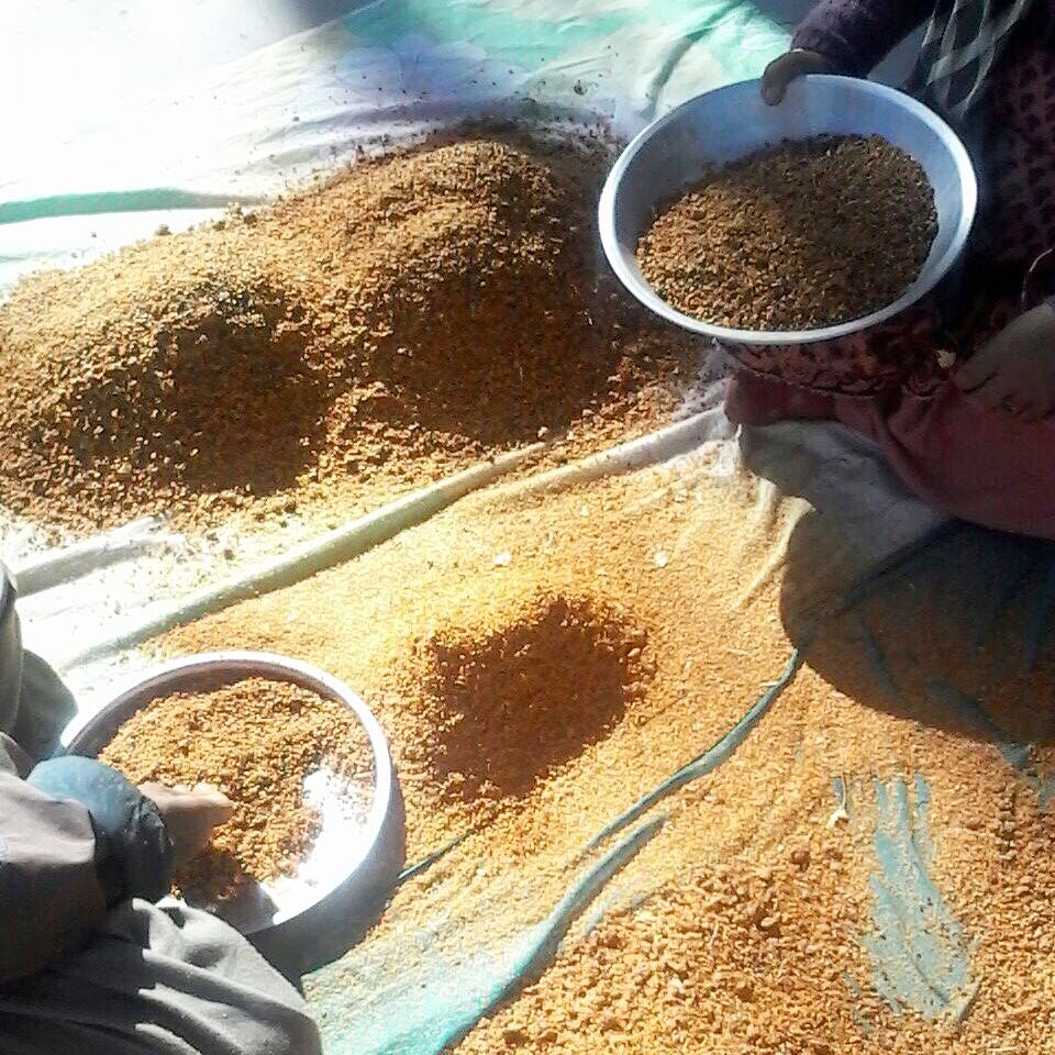 Himalayan Sea buckthorn Powder | 100 % Pure & Natural