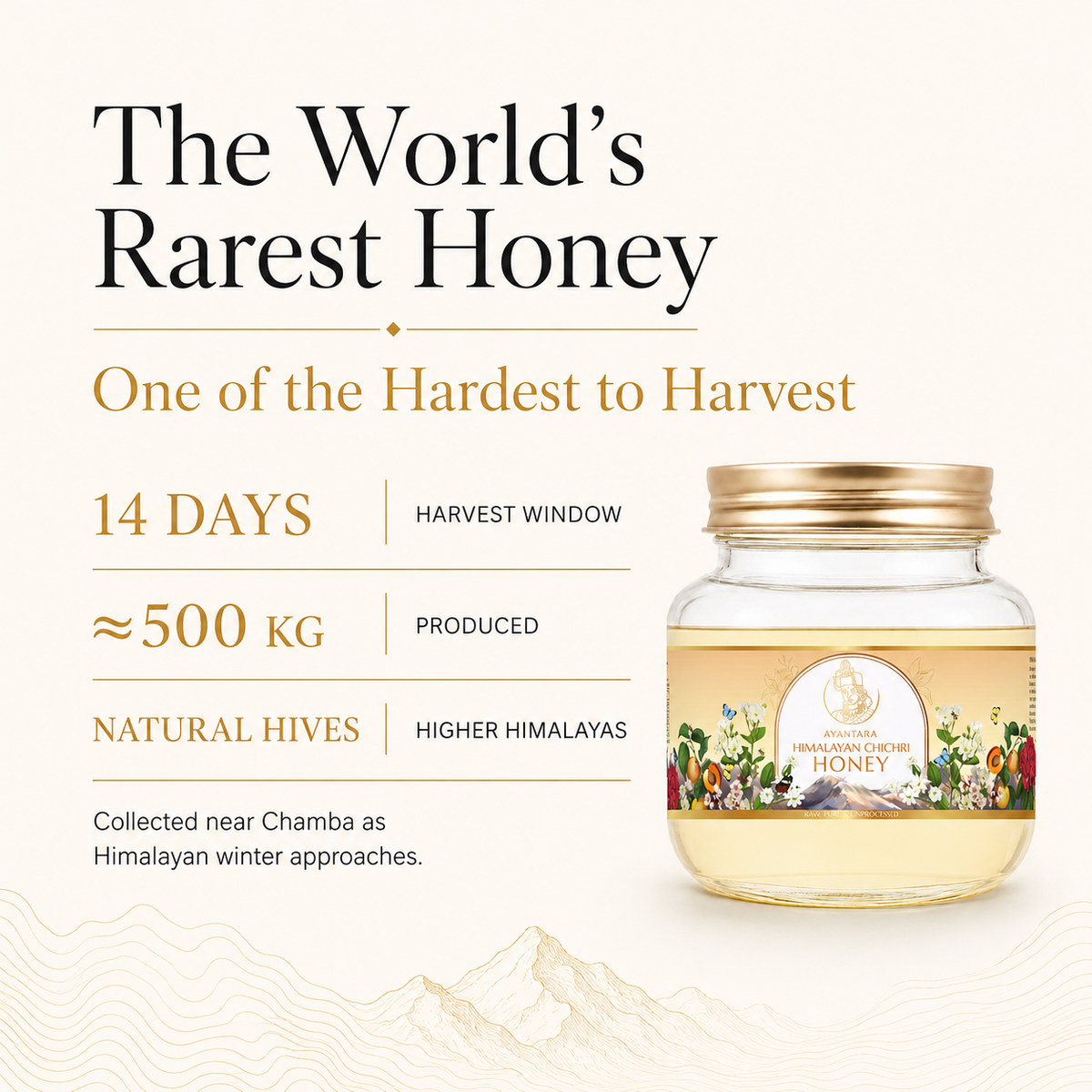 Himalayan Chichri Honey(100% Raw, Pure & Unprocessed) | No Added Sugar