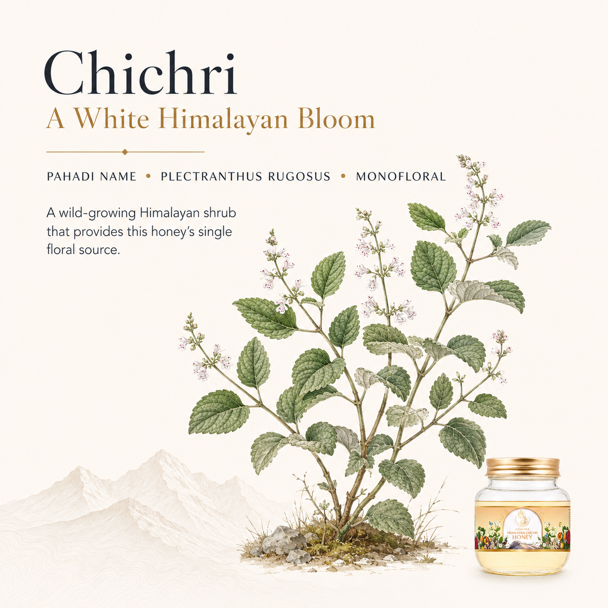Himalayan Chichri Honey(100% Raw, Pure & Unprocessed) | No Added Sugar