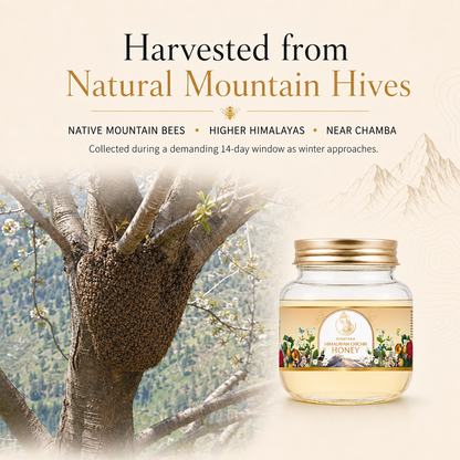 Himalayan Chichri Honey(100% Raw, Pure & Unprocessed) | No Added Sugar
