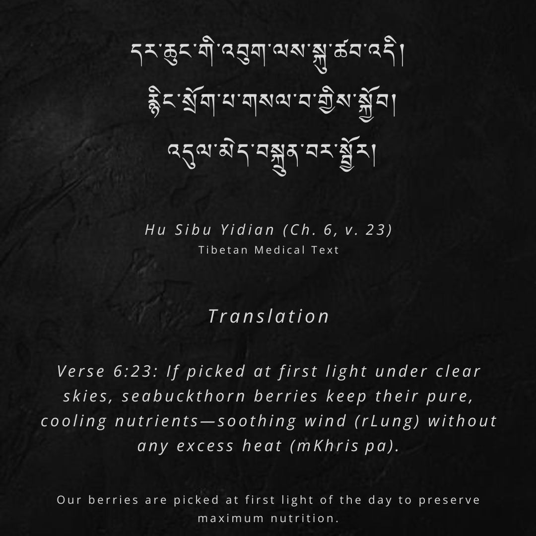 Himalayan Sea buckthorn Powder | 100 % Pure & Natural