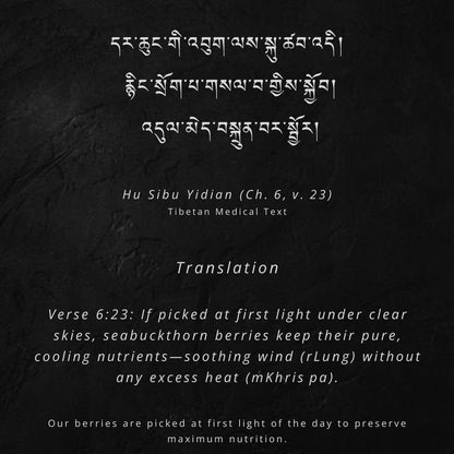 Himalayan Sea buckthorn Powder | 100 % Pure & Natural