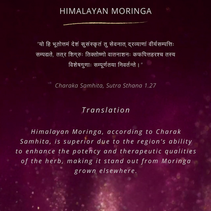 Himalayan, Moringa Leaf Powder | 100 % Natural & Pure