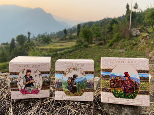 Superfood Mix/Lattes(Assorted Flavours) - Trial Pack