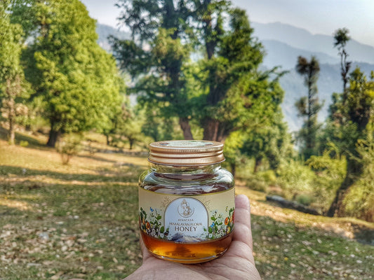 Himalayan Floral Honey (Seabuckthorn Berry, Jasmine & Apricots) (100% Raw, Pure & Unprocessed)  | Natural, Organic & No Added Sugar | Unpasteurized